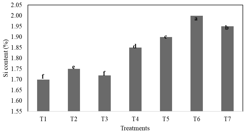 Figure 5: