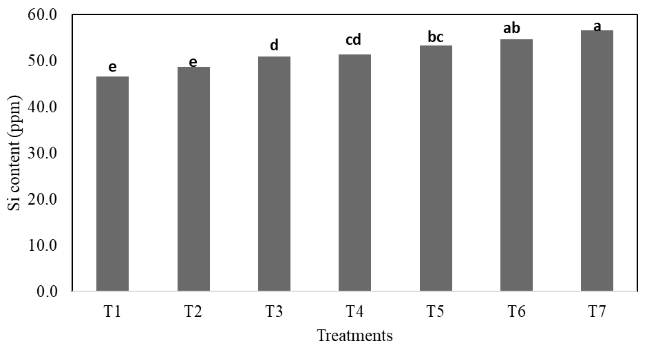 Figure 7: