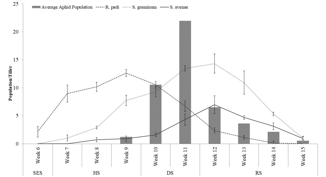 Figure 1: