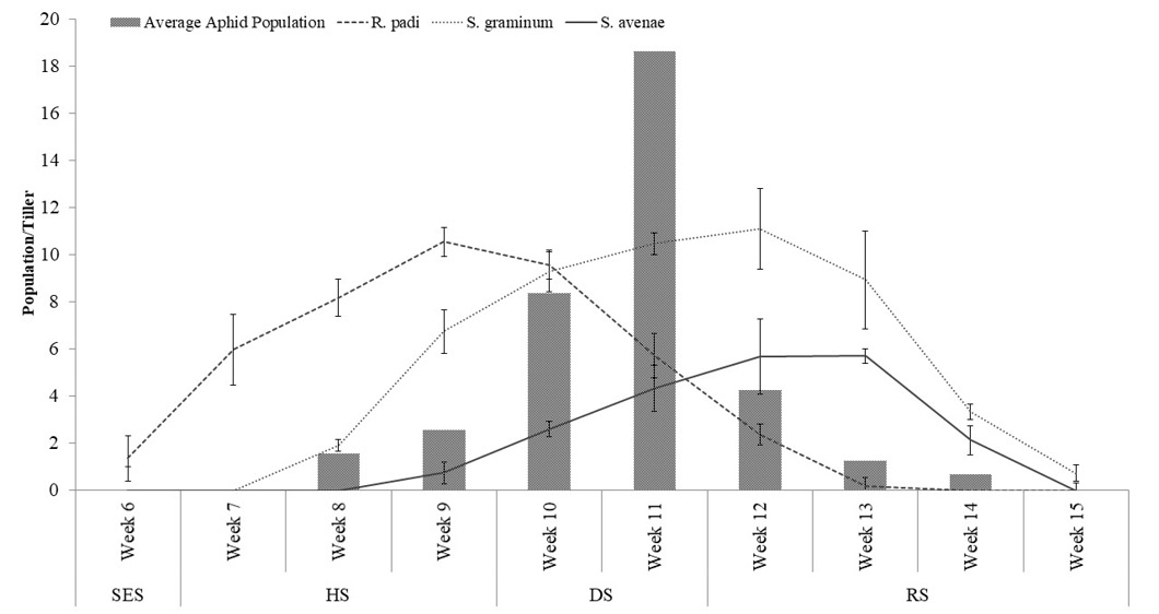 Figure 2: