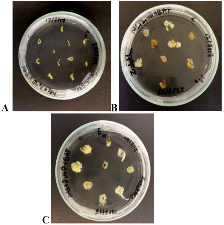 Figure 5: