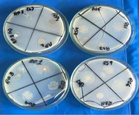 Figure 7: