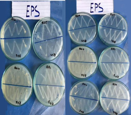Figure 5: