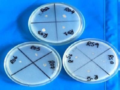 Figure 6: