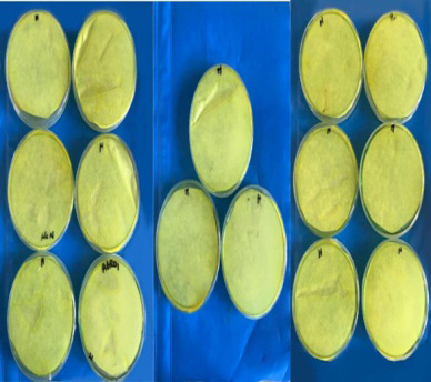 Figure 4:
