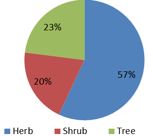 Figure 6: