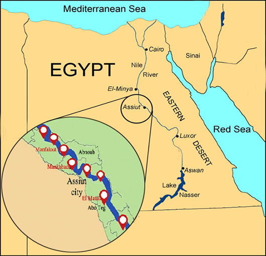Figure 1: