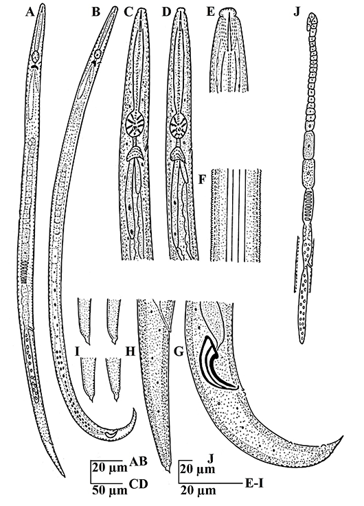 Figure 3a:
