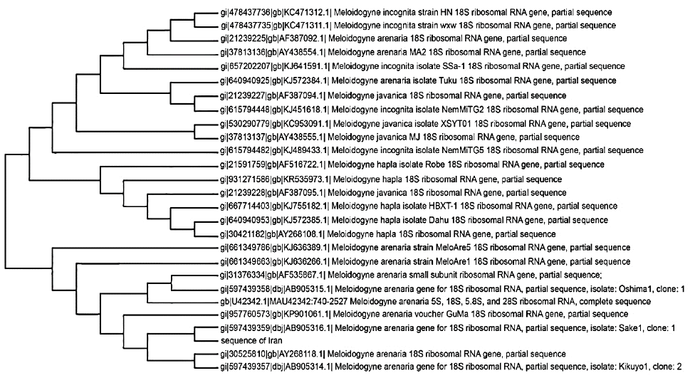 Figure 2:
