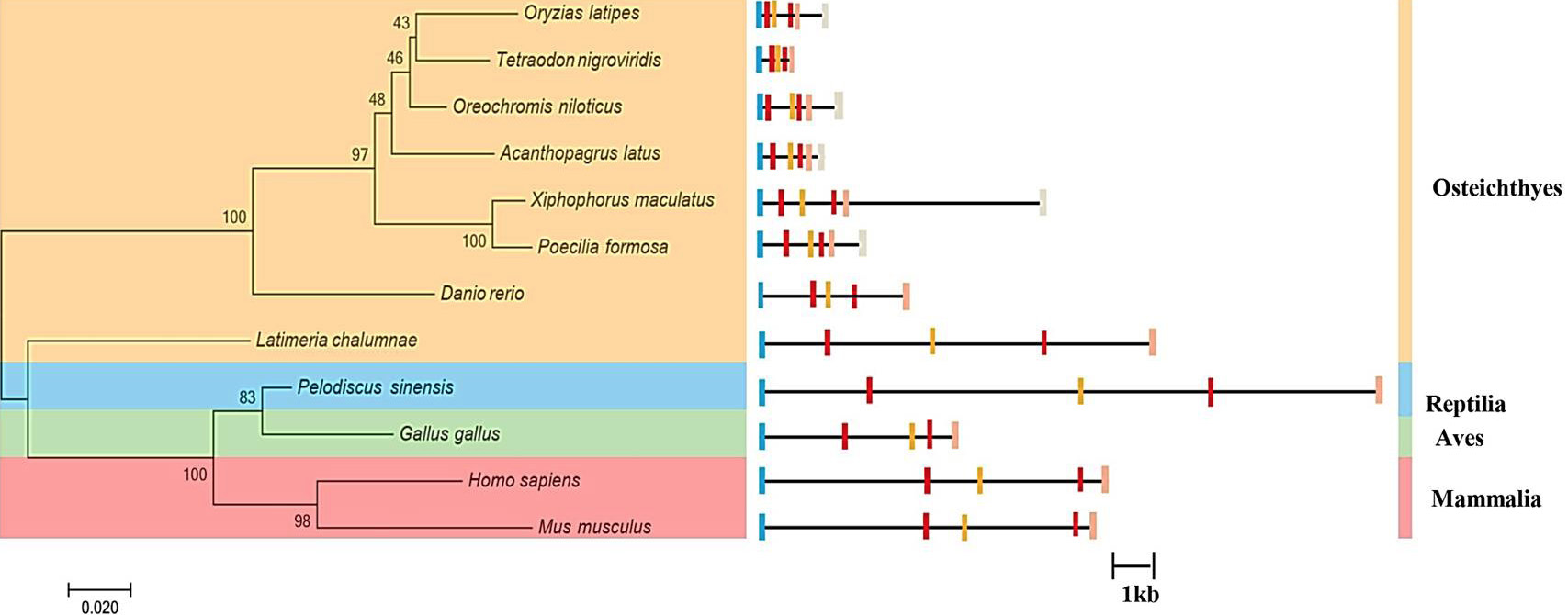 Fig. 3.