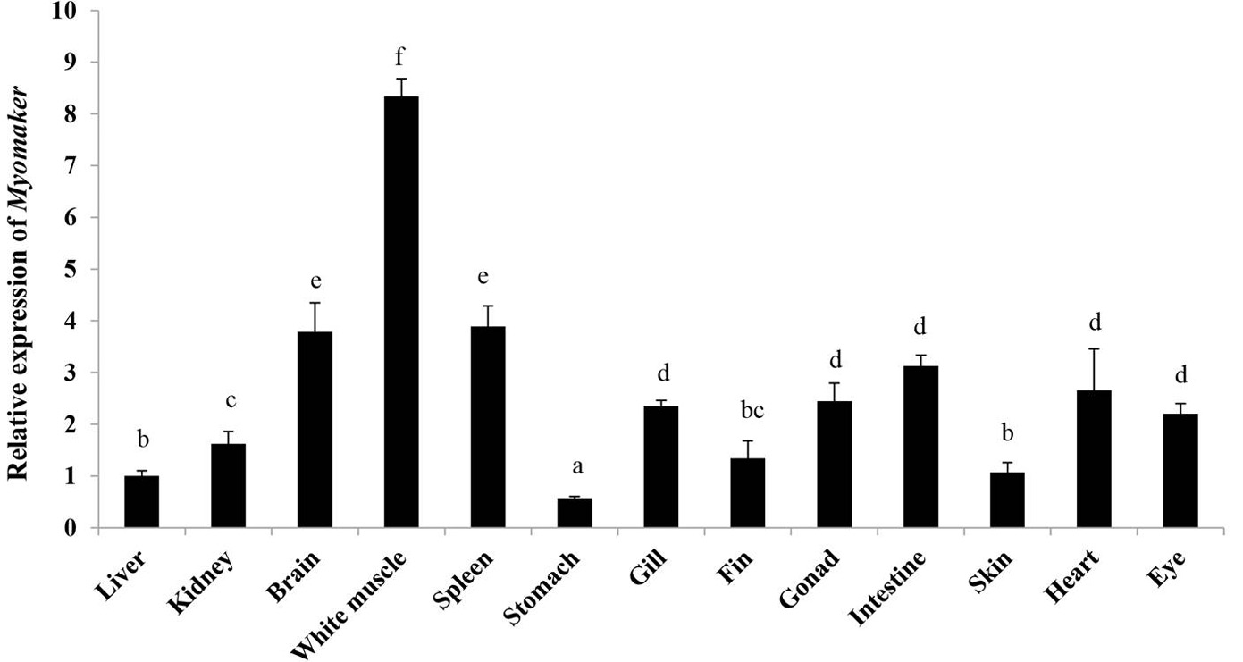 Fig. 4.