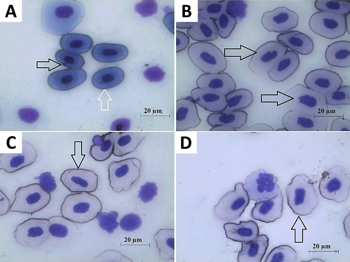 Fig. 5.