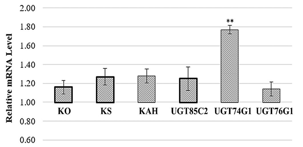 Figure 2: