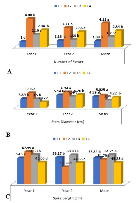 Figure 2: