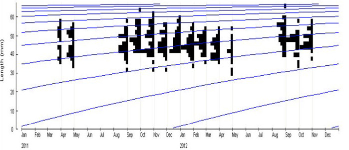 Fig. 5.