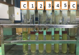 Figure 2: