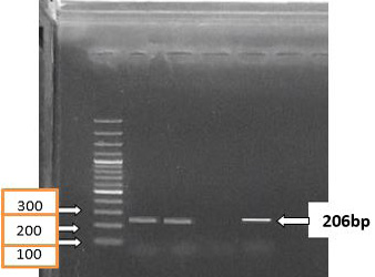 Figure 3: