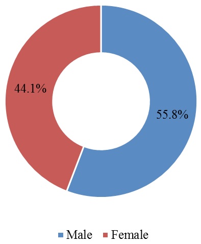 Figure 2: