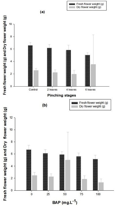 Figure 5: