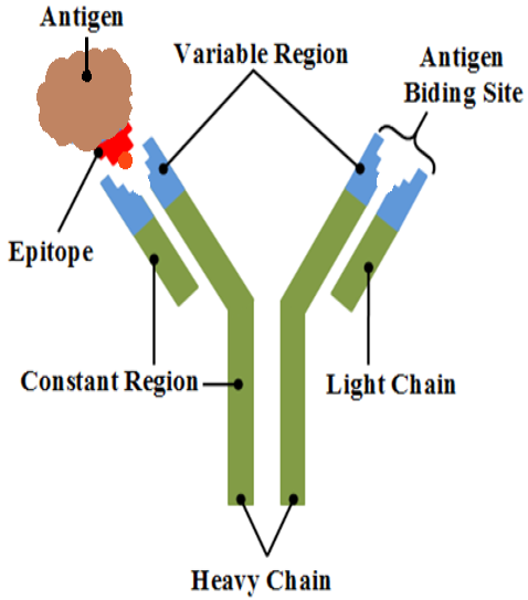 Figure 1: