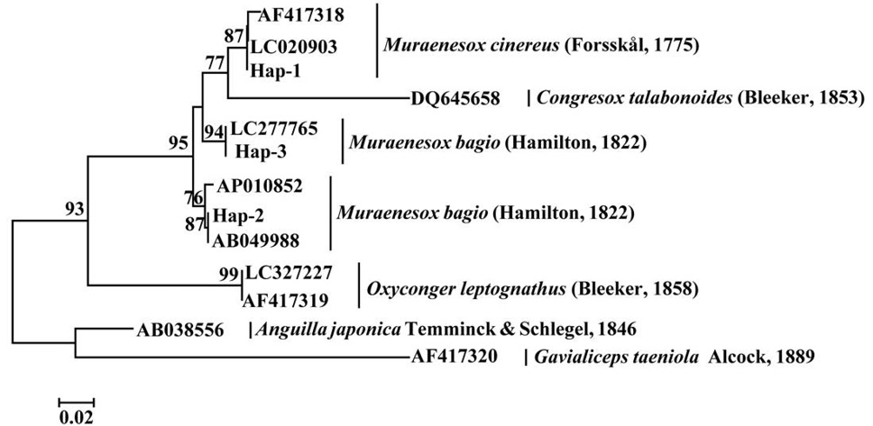Fig. 4.