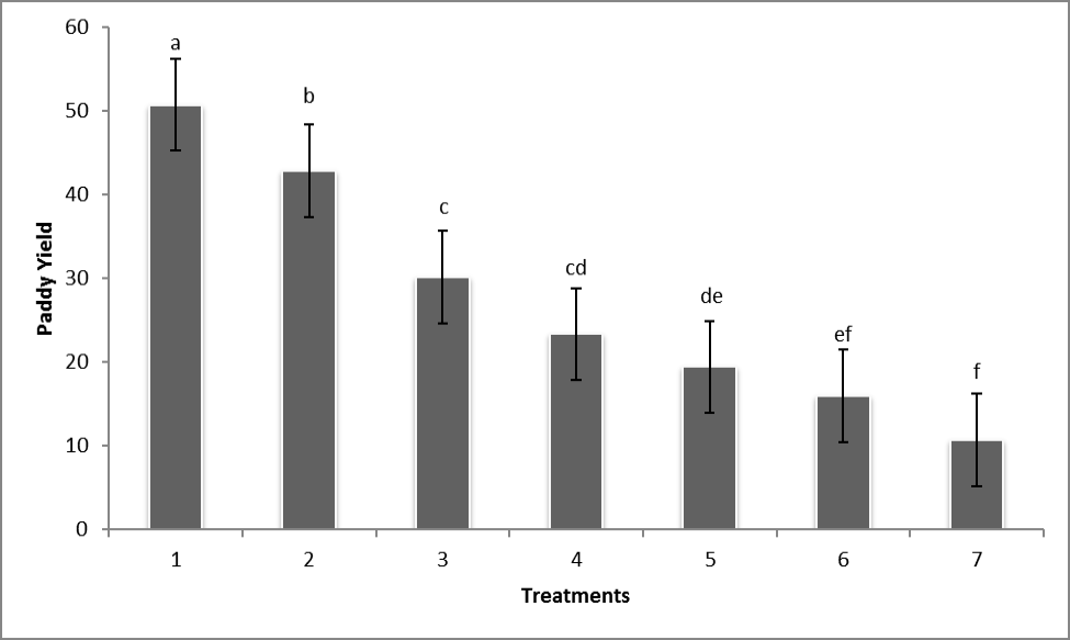 Figure 5: