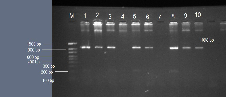 Figure 3: