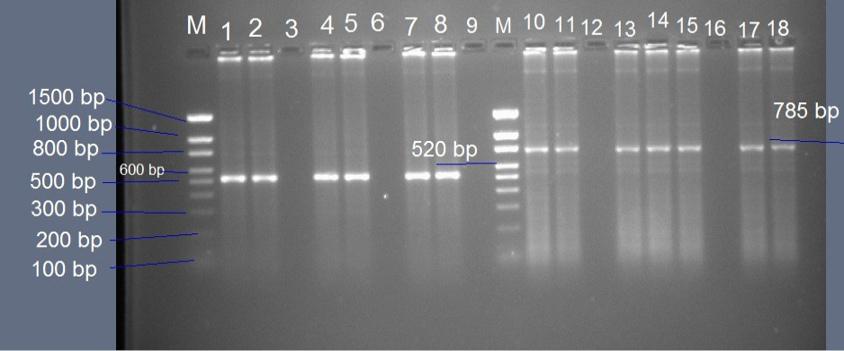 Figure 4: