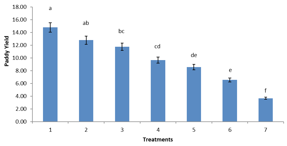 Figure 5: