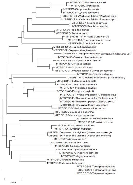 Figure 6:
