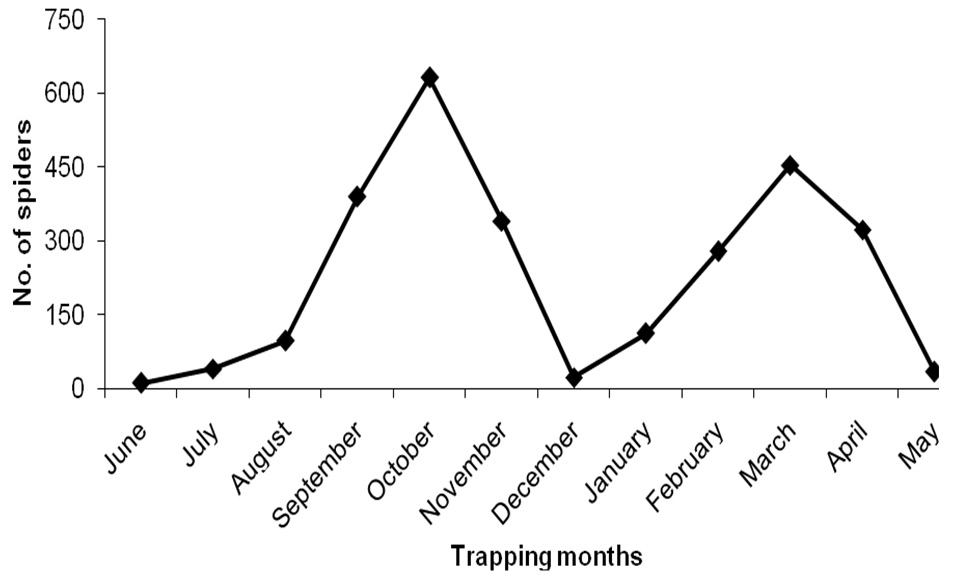Figure 3: