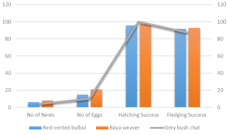 Figure 3: