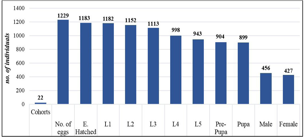 Figure 9: