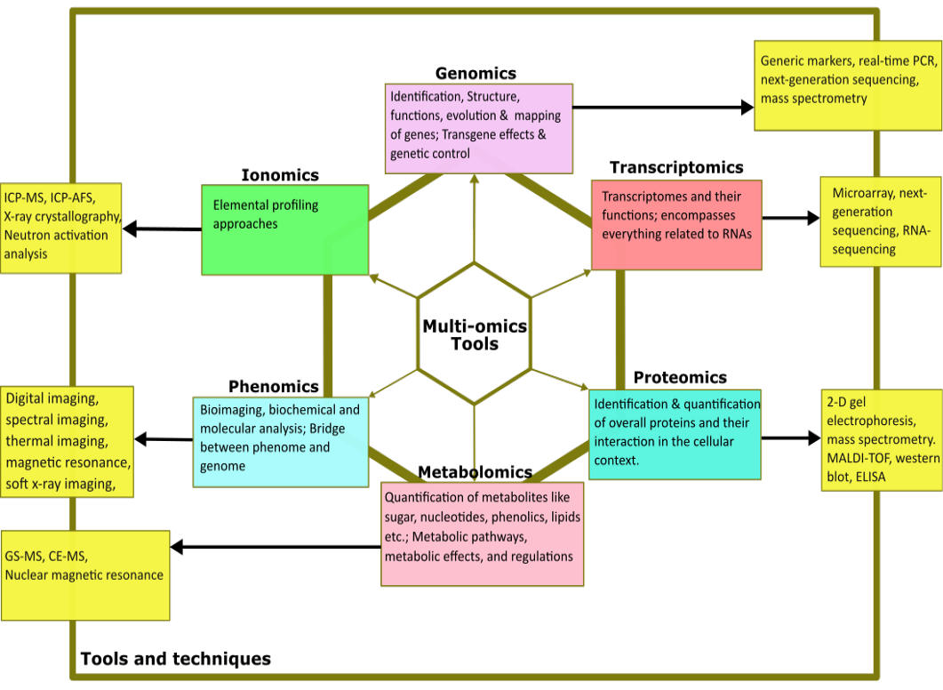 Figure 5: