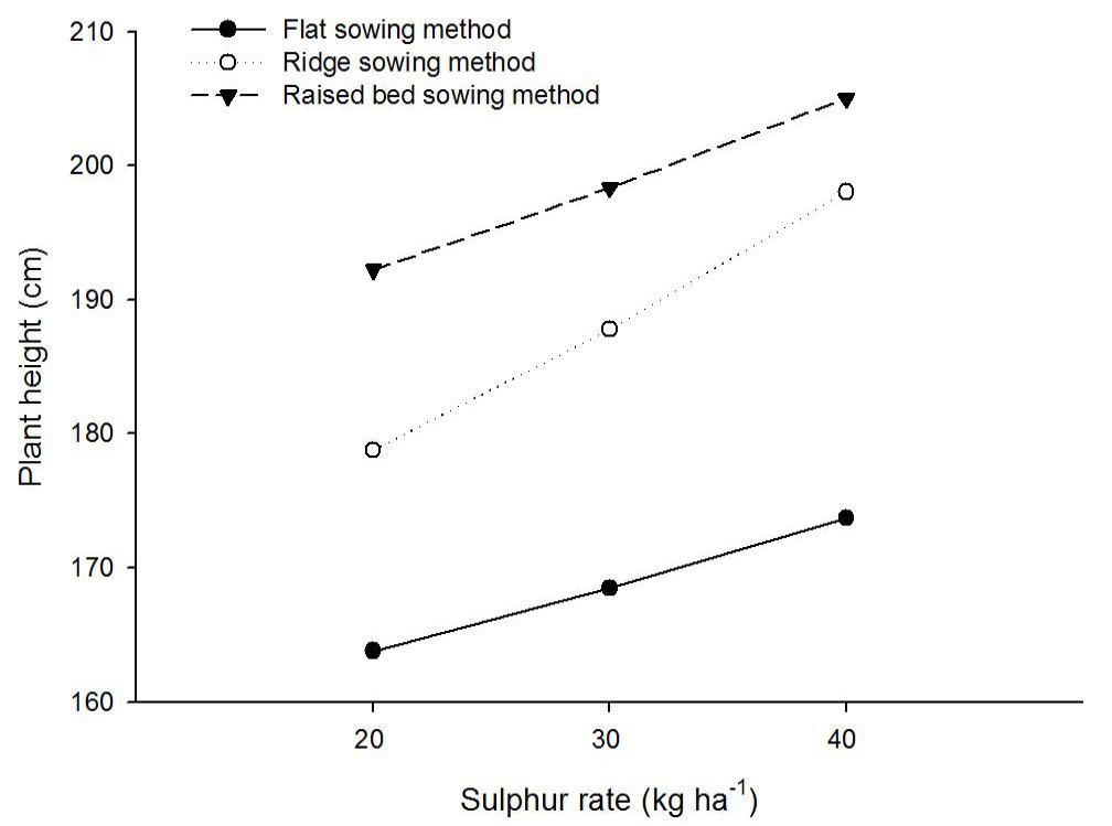 Figure 10: