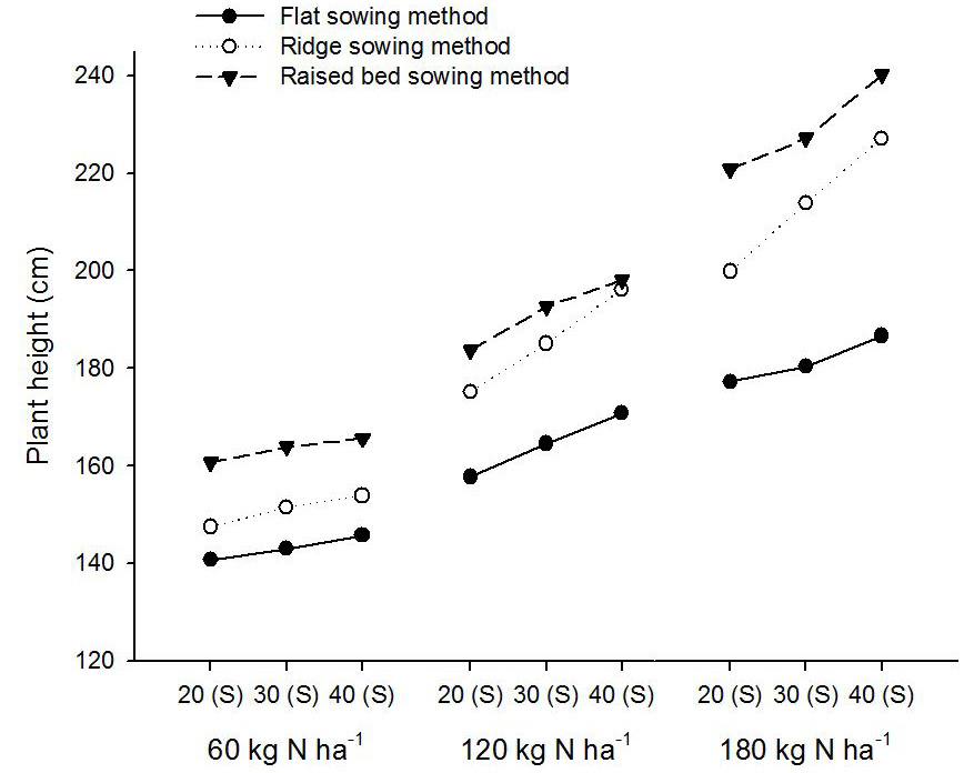 Figure 11: