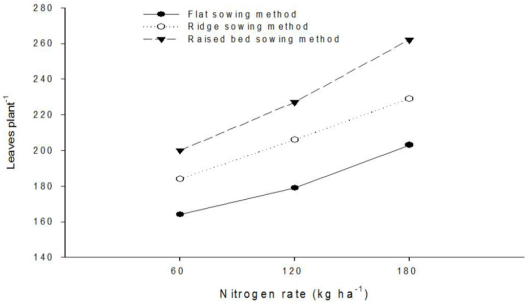 Figure 3: