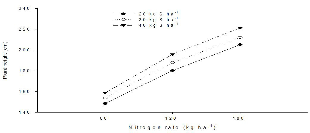 Figure 8: