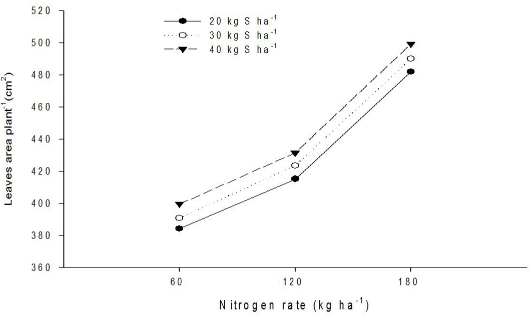 Figure 4: