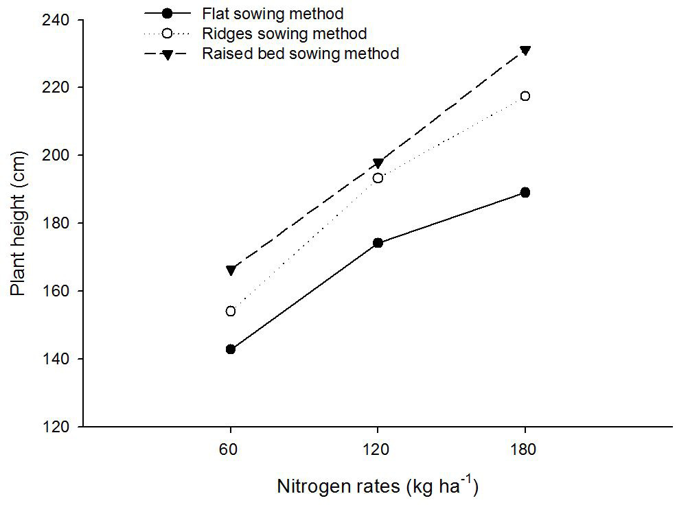 Figure 9: