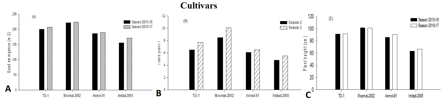 Figure 2: