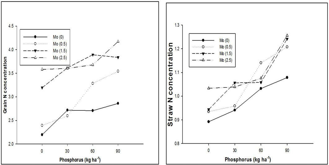 Figure 3: