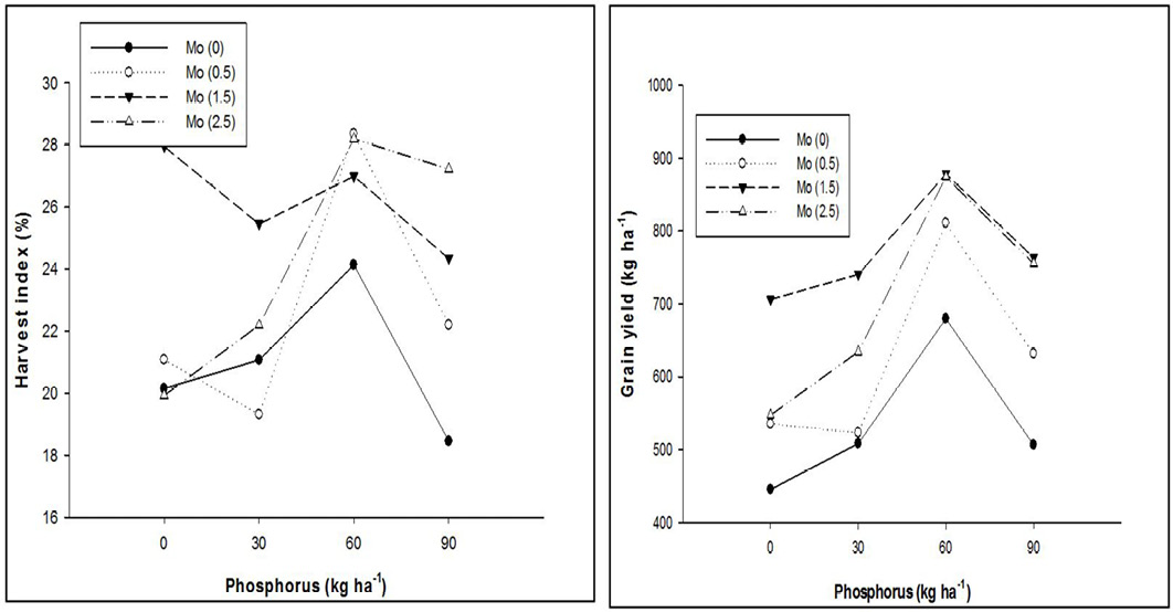 Figure 4: