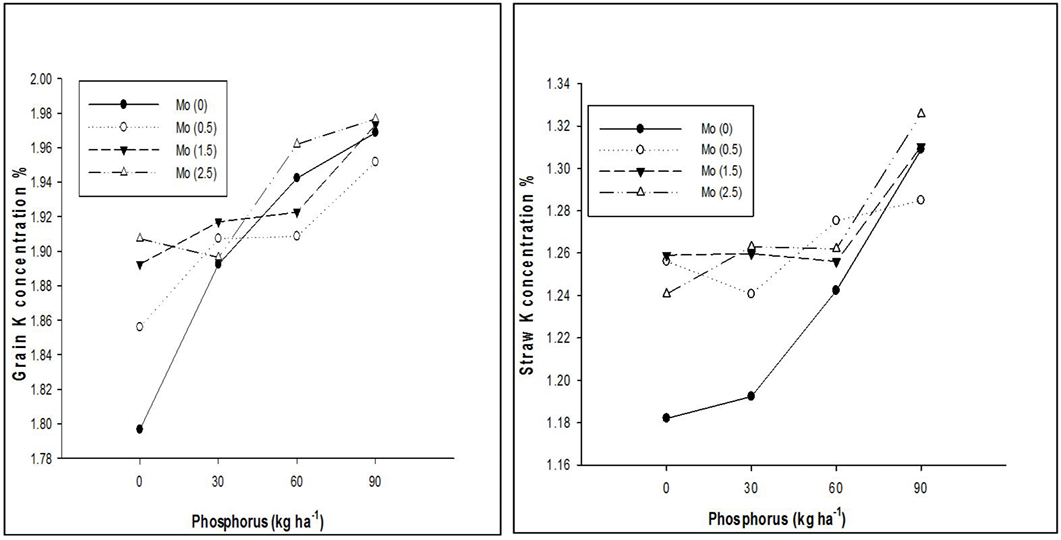 Figure 2: