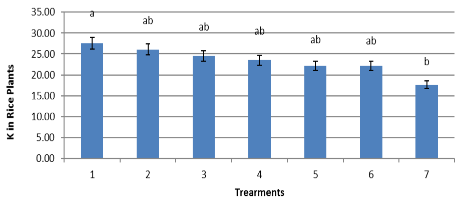 Figure 5: