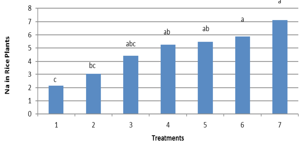 Figure 4: