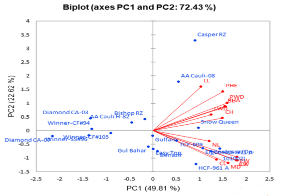 Figure 2: