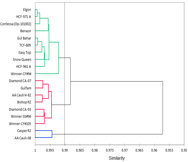 Figure 3: