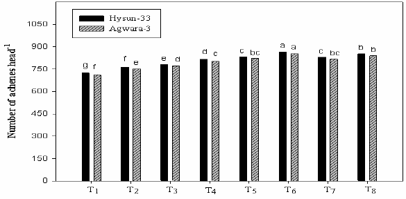 Figure 5: