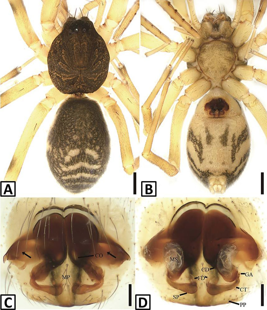 Fig. 2.